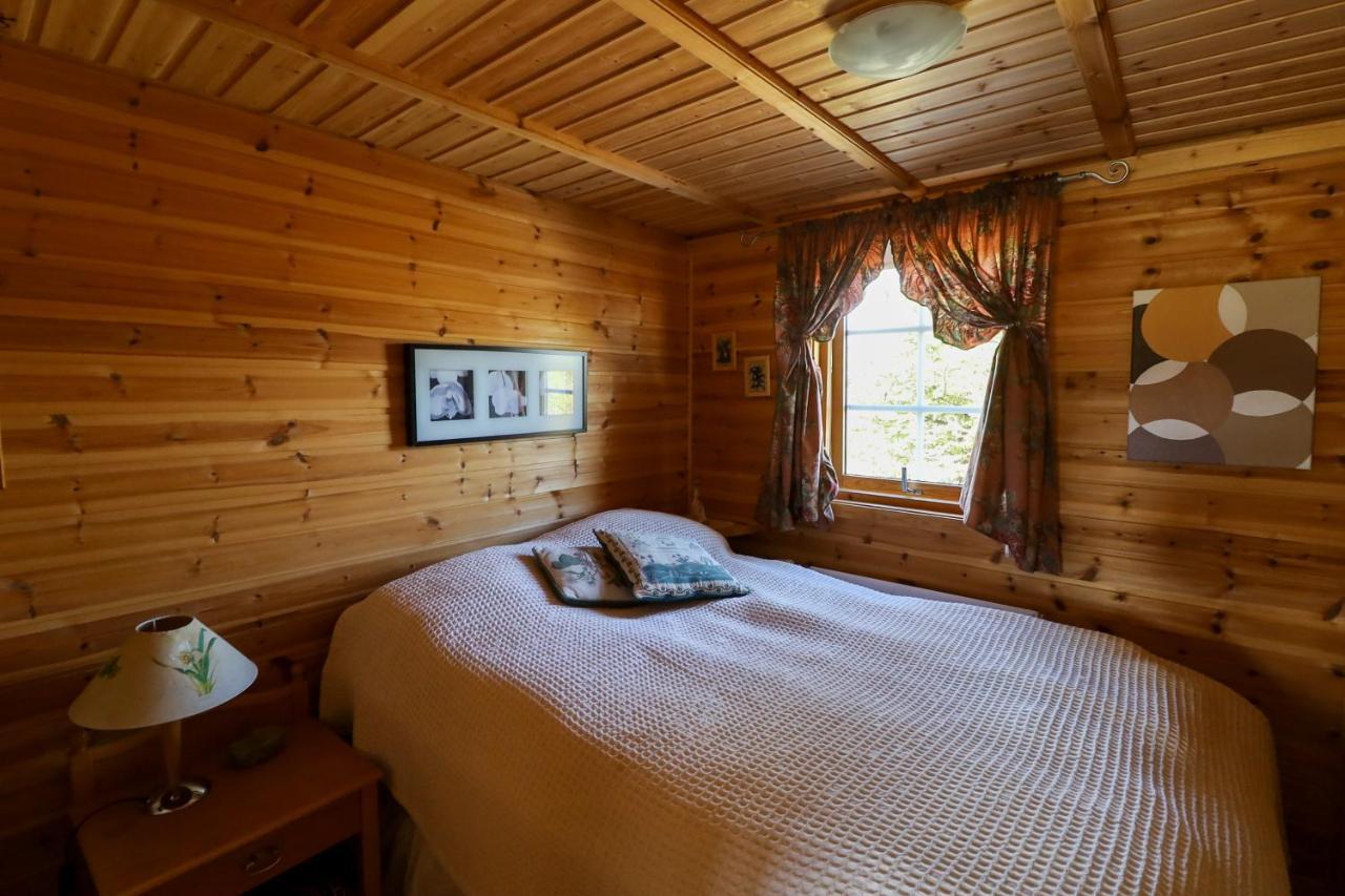 Golden Circle Vacation Home With Hot Tub & Fire Place Selfoss Exteriér fotografie